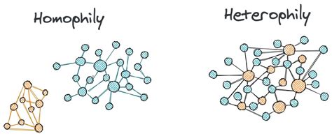 homophily pronunciation|homophily and heterophily.